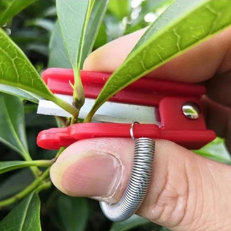 Harvesting Tool, Vegetable and Fruit Thump Knife Separator