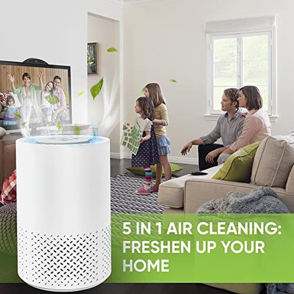 Air Purifier for Home: InvisiClean Stella Portable Desktop – In Use