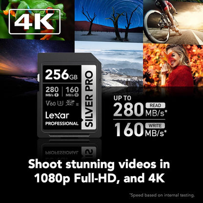Lexar 256GB Professional SILVER PRO SD Card – Side View