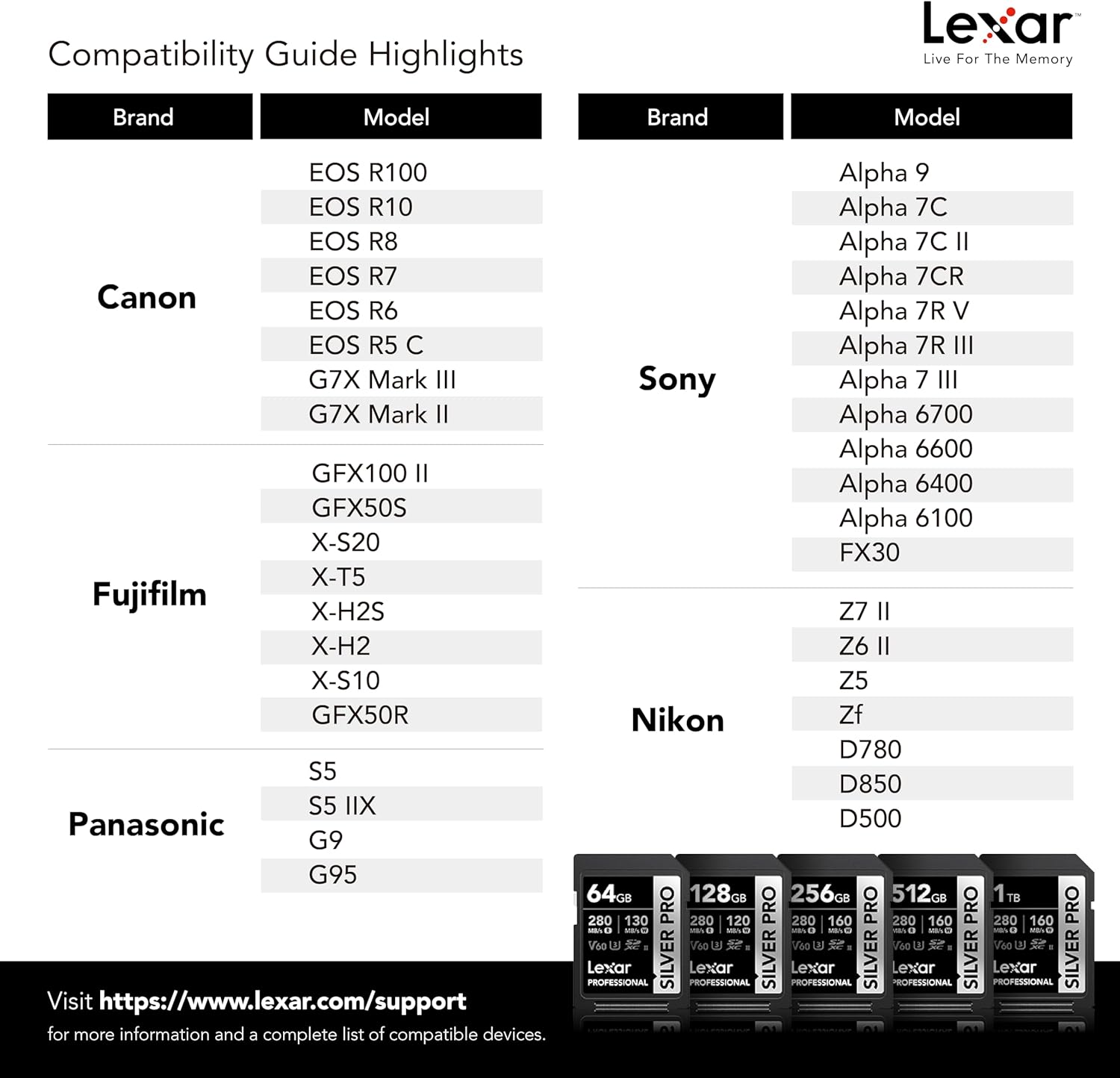 Lexar 256GB Professional SILVER PRO SD Card – Back View