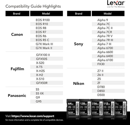 Lexar 256GB Professional SILVER PRO SD Card – Back View