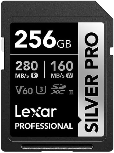 Lexar 256GB Professional SILVER PRO SD Card – Feature Highlight