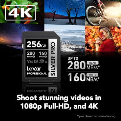 Lexar 256GB Professional SILVER PRO SD Card – Size Reference