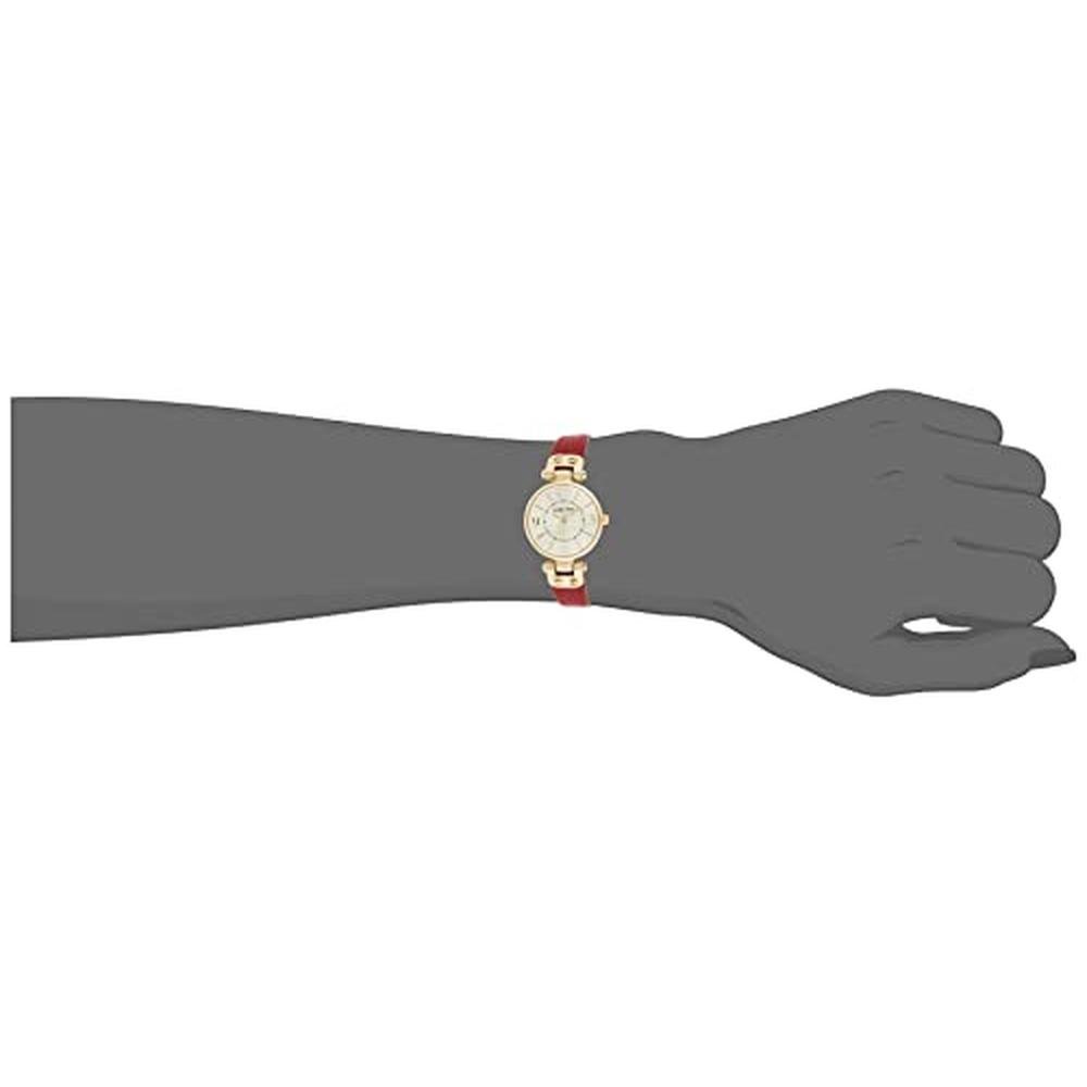 Anne Klein Women's Leather Strap Watch Red Gold – Packaging