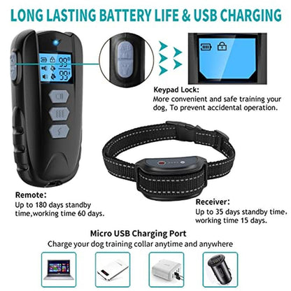 Dog Training Collar: Asrcs Remote Waterproof Dog Collar – In Use