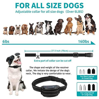 Dog Training Collar: Asrcs Remote Waterproof Dog Collar – Packaging
