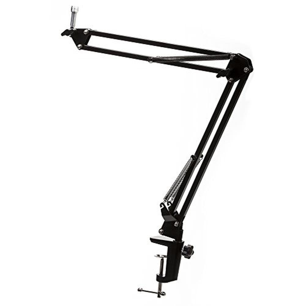 Audio Technica AT2035 Microphone with Knox Gear Pop Filter – In Use