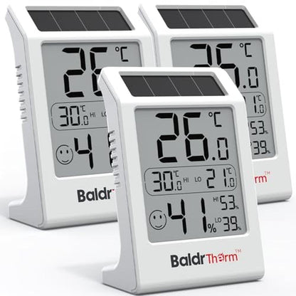 Room Baldrtherm: Baldrtherm Indoor Thermometer – Front View
