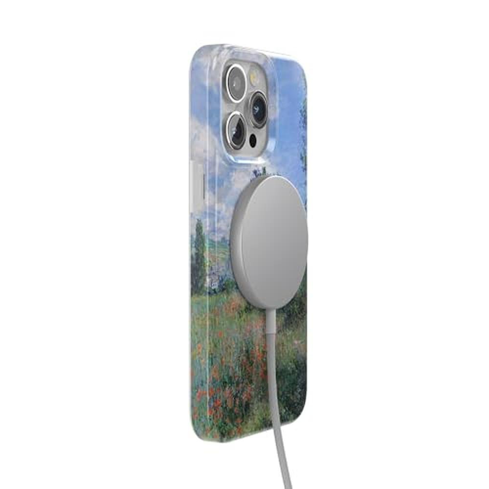 Casely iPhone 15 Pro Max Case – Packaging