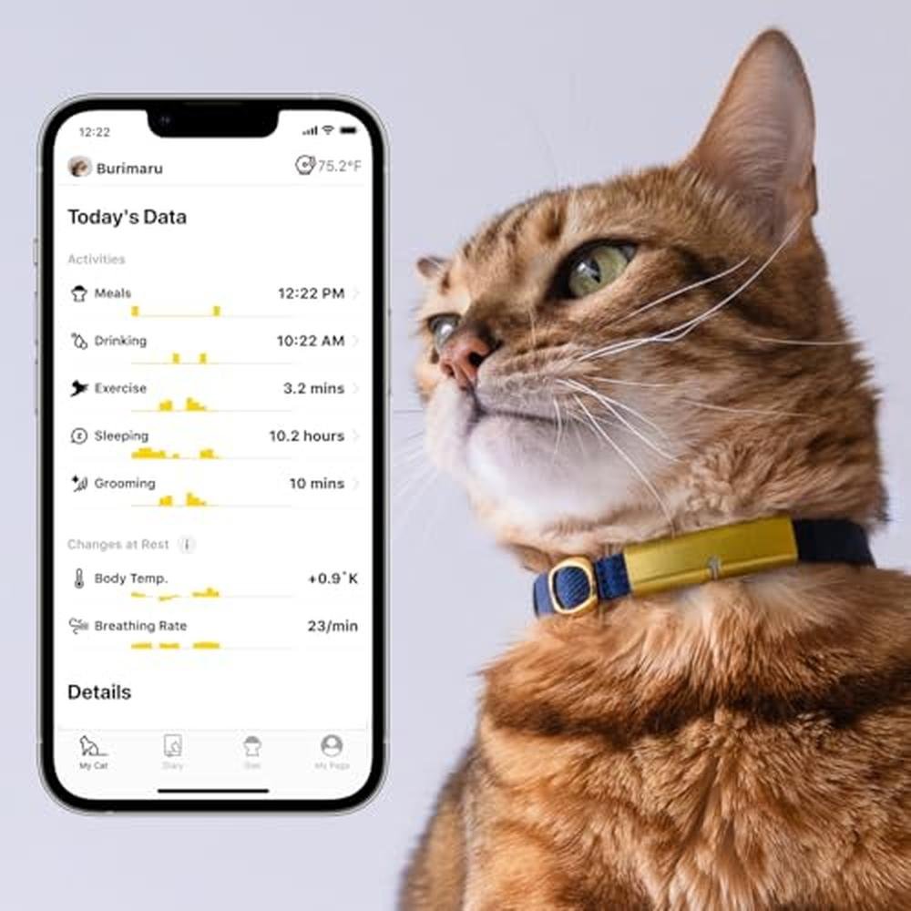 Catlog Health Tracker for Cats – In Use