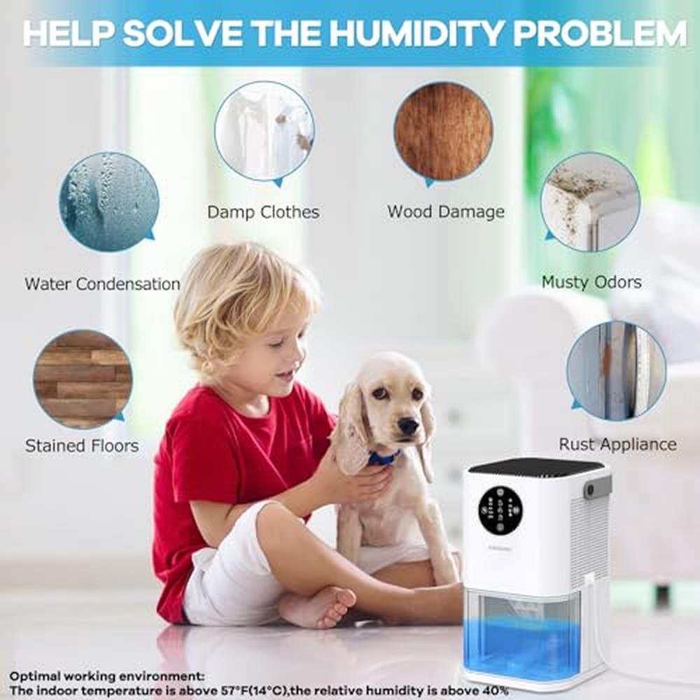 Dehumidifier Small: DAESUNG 60 OZ Quiet Dehumidifier for – Close-up Detail