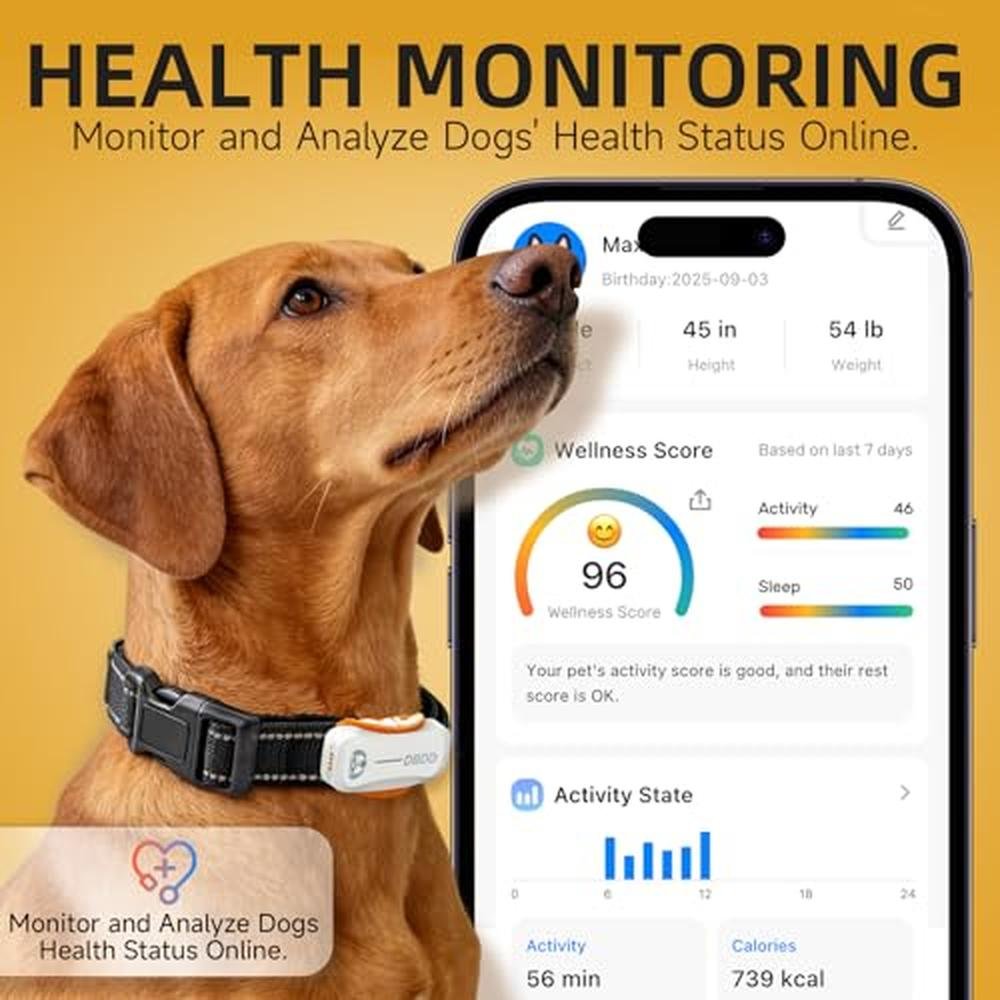 DBDD AI GPS Tracker for Dogs: Real-Time Location and AI – Side View