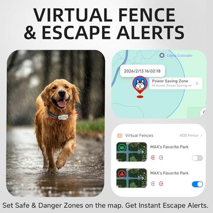 DBDD AI GPS Tracker for Dogs: Real-Time Location and AI – In Use