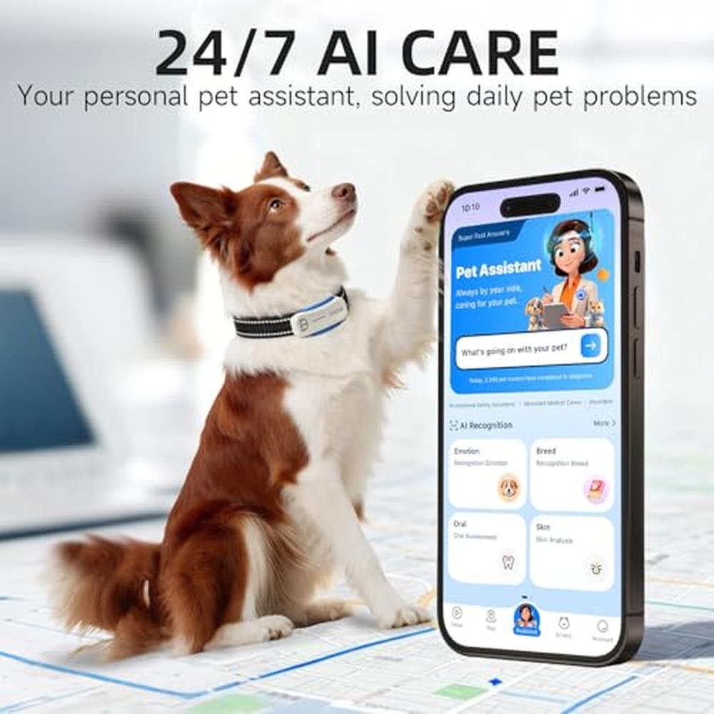 DBDD AI GPS Tracker for Dogs: Real-Time Location and AI – Packaging