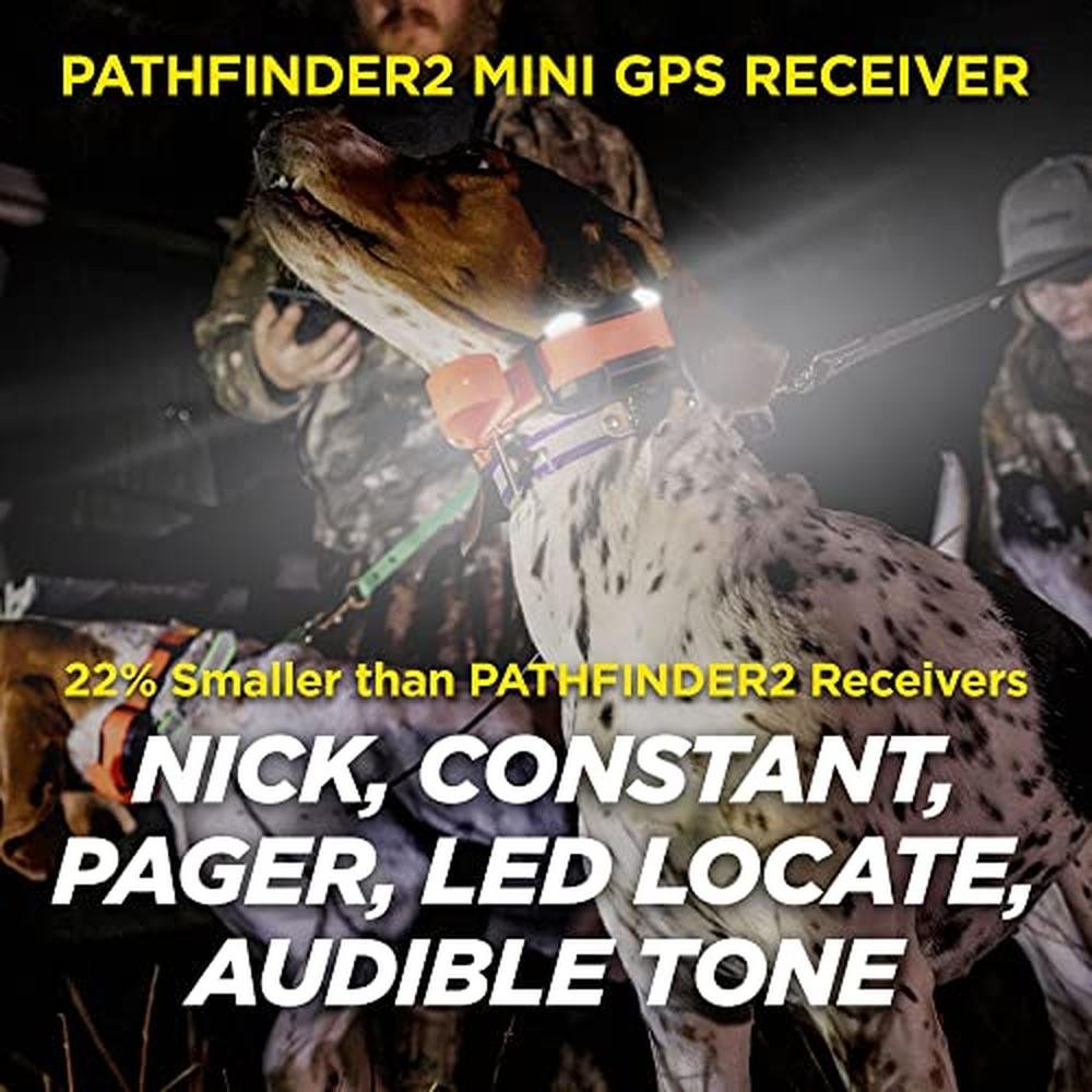 Dogtra Pathfinder 2 Mini: Dog GPS Tracker & E-Collar System – In Use