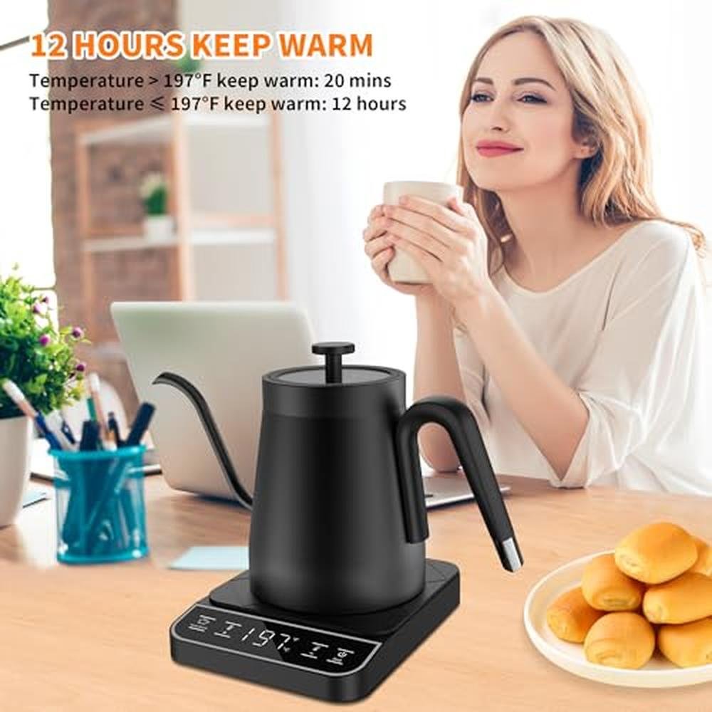 Electric Gooseneck Kettle: 1 Temperature Control – Packaging