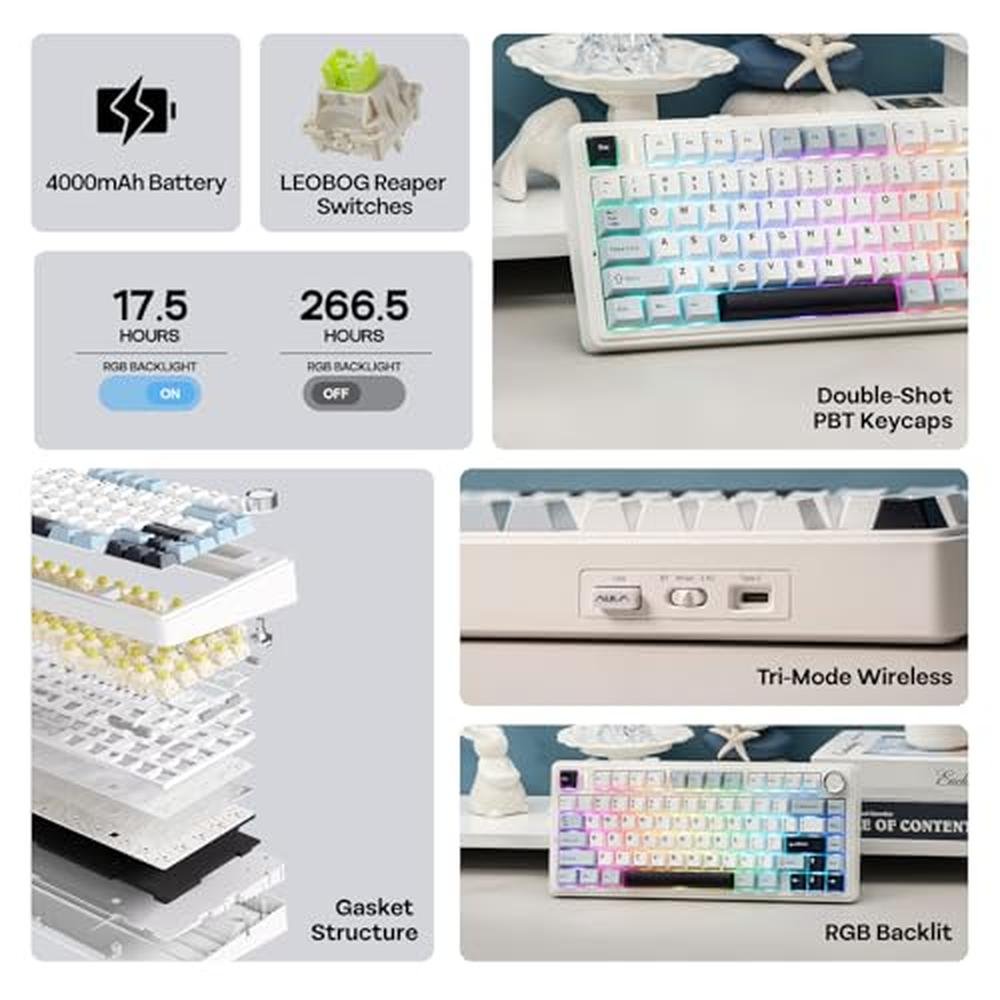 Keyboard Epomaker: Epomaker X Aula F75 Gasket Mechanical – Close-up Detail