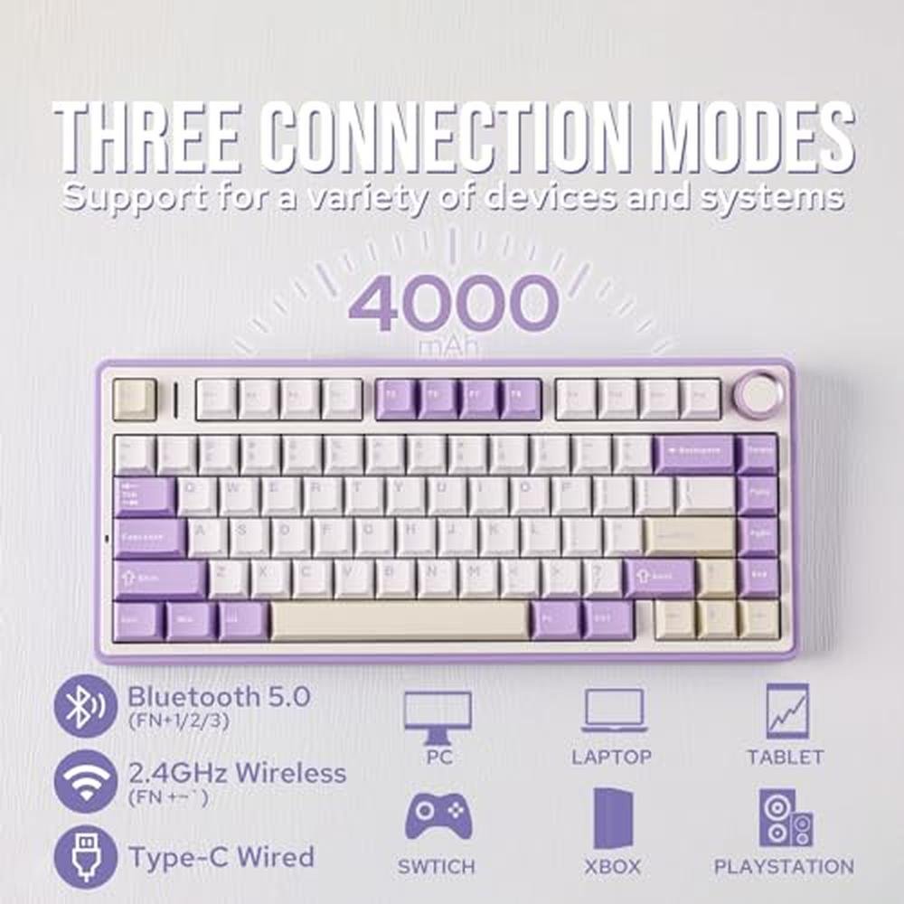 Keyboard Purple: Epomaker X Aula F75 Gasket Mechanical – Close-up Detail