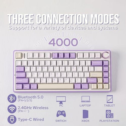 Keyboard Purple: Epomaker X Aula F75 Gasket Mechanical – Close-up Detail