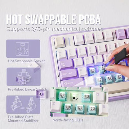 Keyboard Purple: Epomaker X Aula F75 Gasket Mechanical – In Use