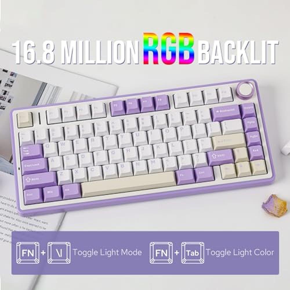 Keyboard Purple: Epomaker X Aula F75 Gasket Mechanical – Packaging