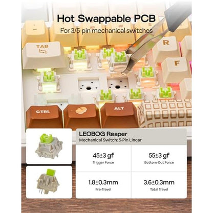 Keyboard Caramel: EPOMAKER X Aula F75 MAX Wireless – Packaging