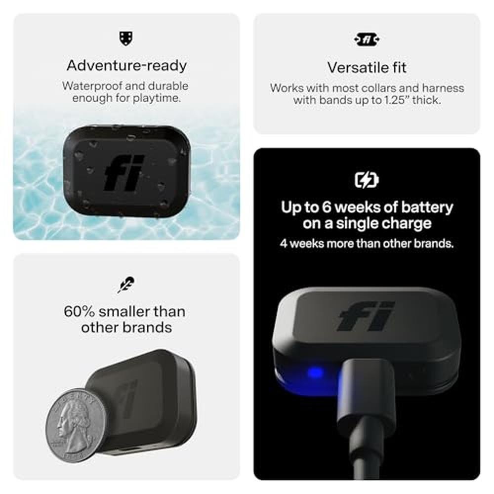 GPS Tracker: Fi Mini Dog Tracker – Close-up Detail