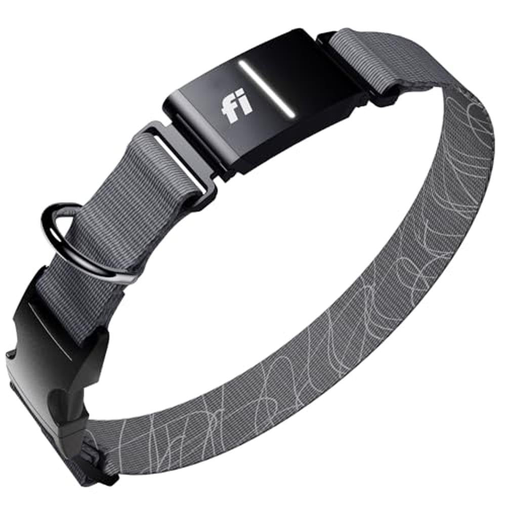 Tracker Series: Fi New Series 3+ Smart Dog Tracker Collar – Front View