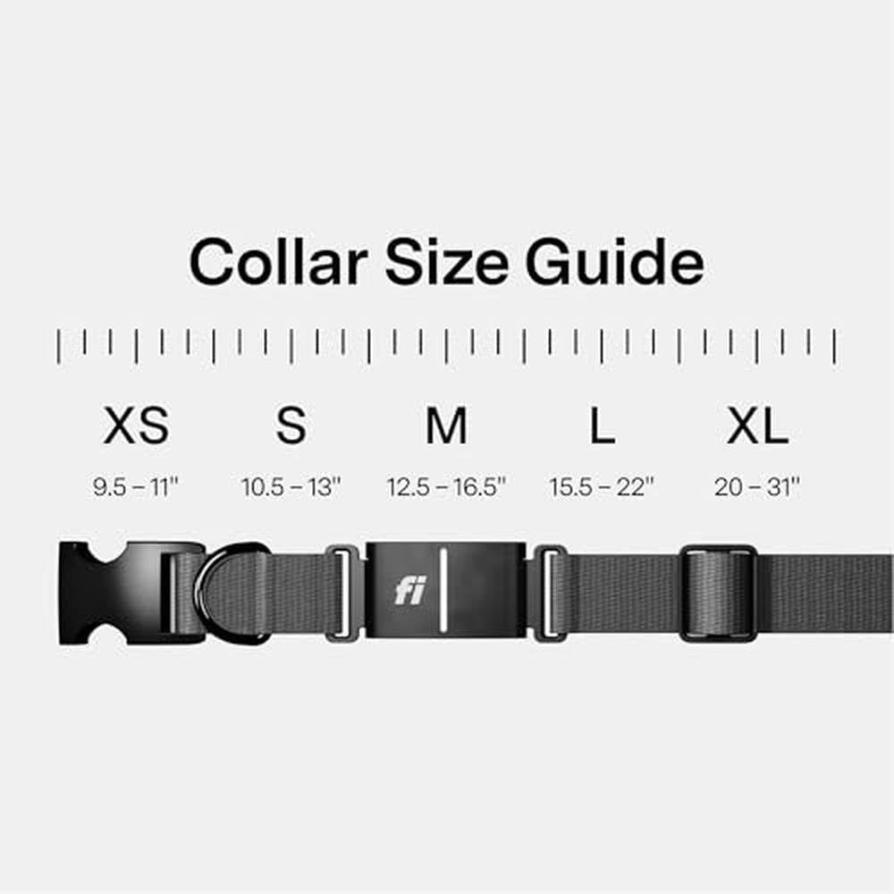 Tracker Series: Fi New Series 3+ Smart Dog Tracker Collar – Side View