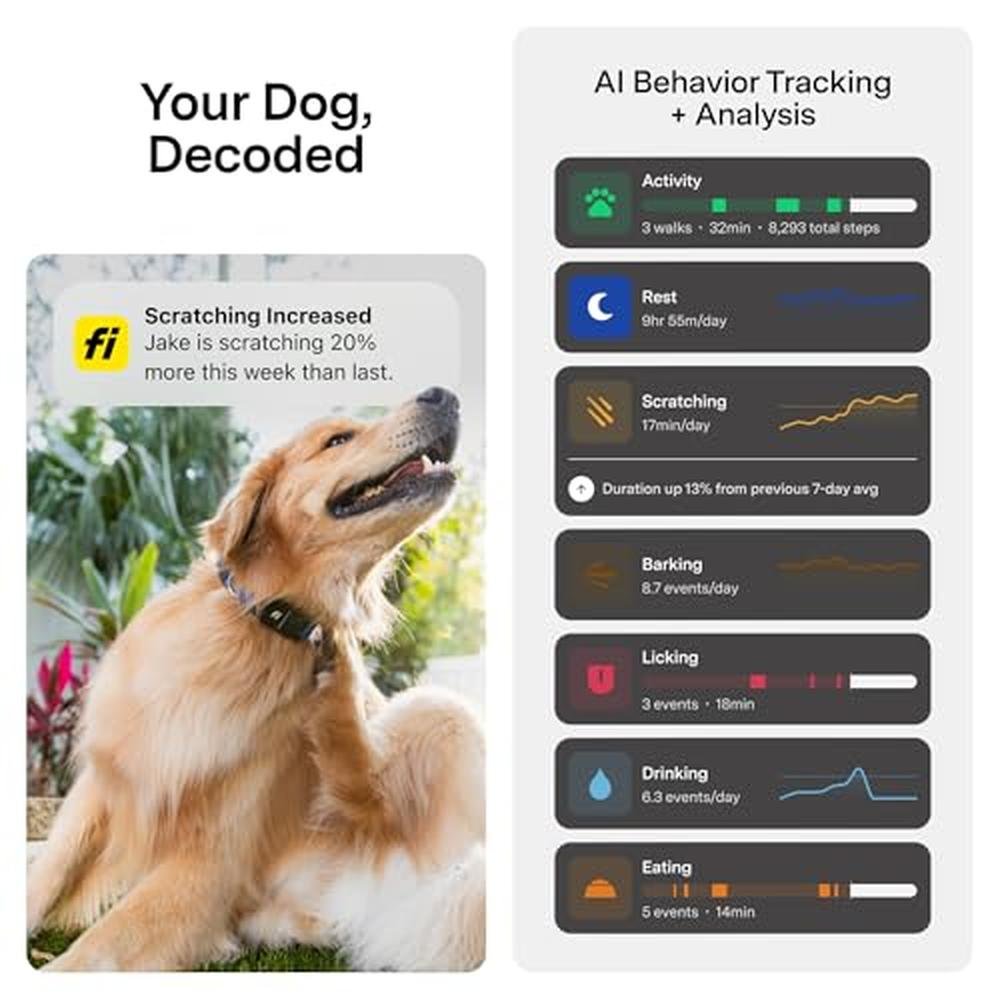 Tracker Series: Fi New Series 3+ Smart Dog Tracker Collar – In Use