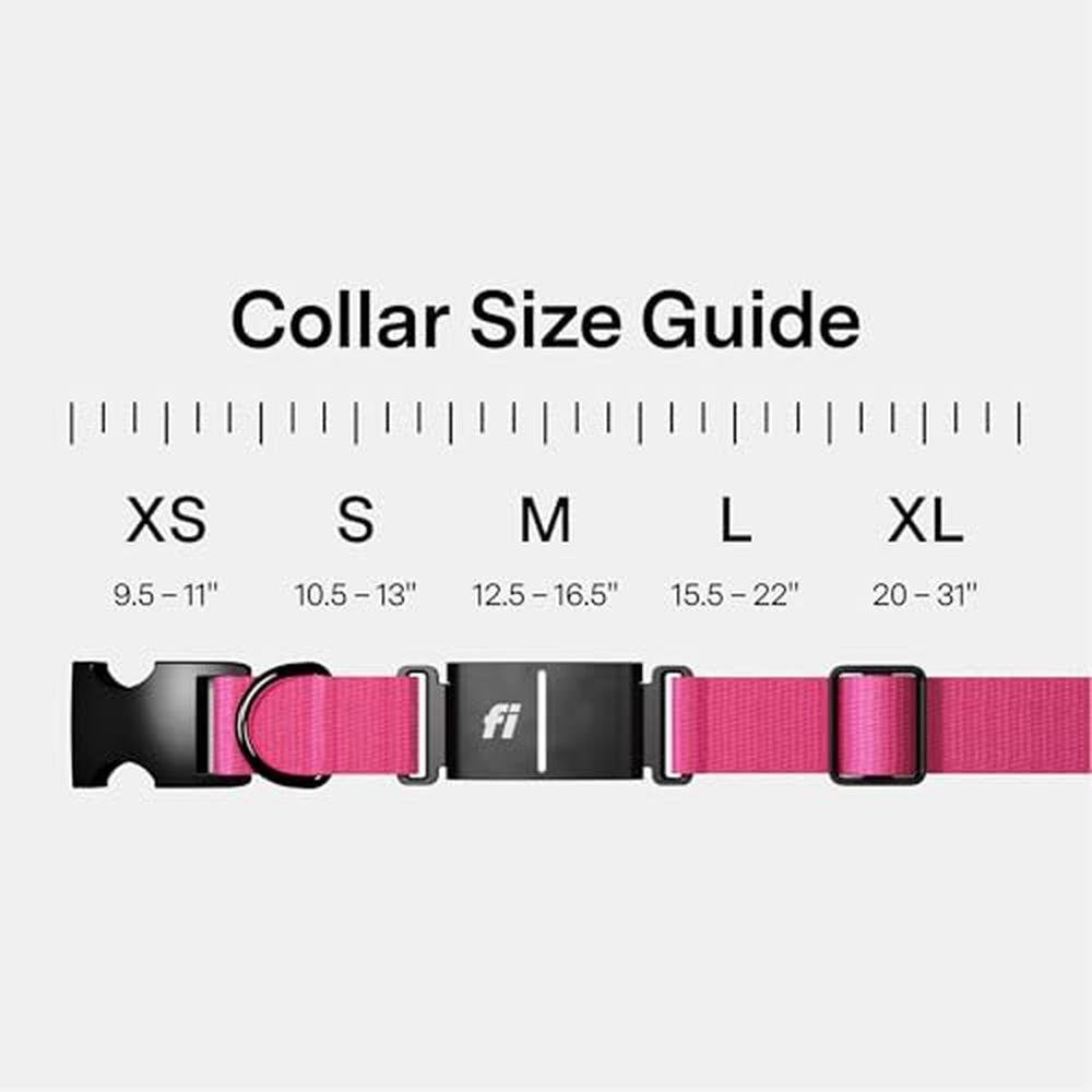 Tracker Series: Fi New Series 3+ Smart Dog Tracker Collar – Side View