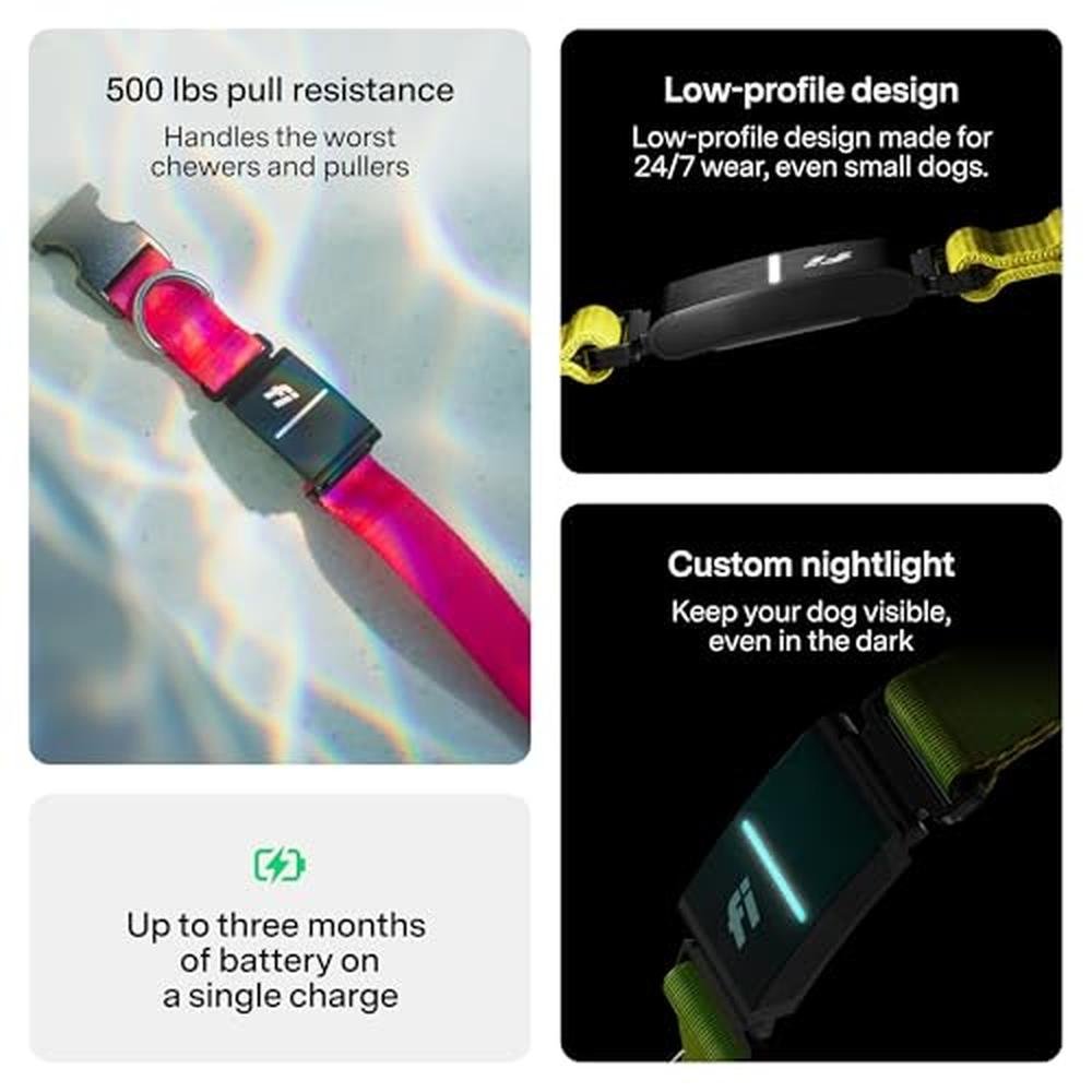 Tracker Series: Fi New Series 3+ Smart Dog Tracker Collar – Close-up Detail