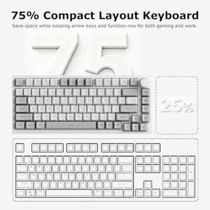 Keyboard White: AK820 Wired 75% Mechanical Keyboard Hot – Close-up Detail