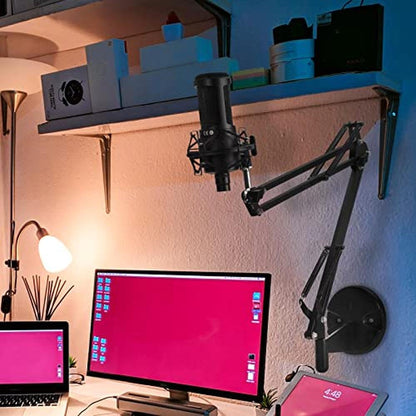 Microphone Arm: GEEKRIA for Creators Wall Mount Adapter – In Use