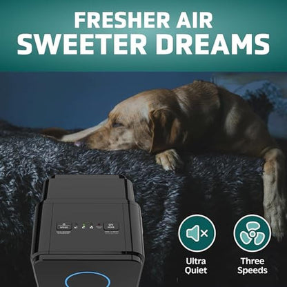 Air HEPA Purifier: GermGuardian 5-in-1 AC4300BPTCA – Close-up Detail
