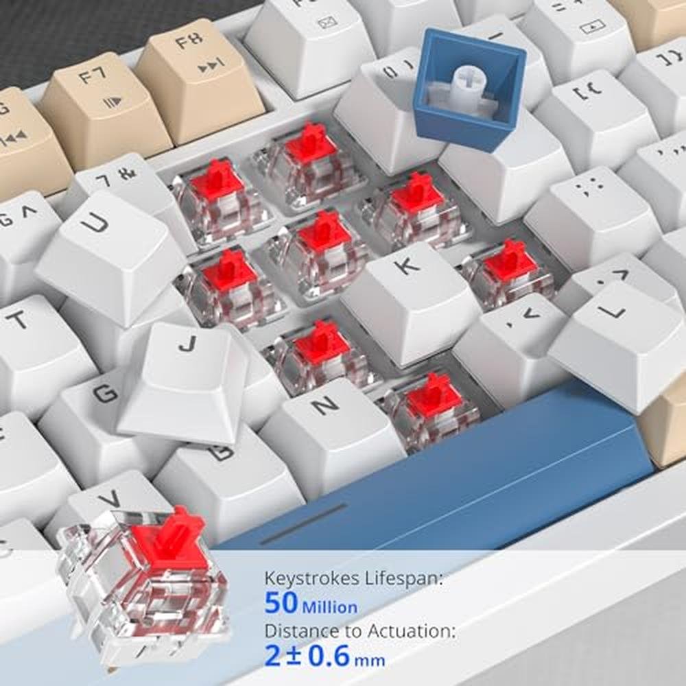 Keyboard Creamy: iRoboosta 75 Mechanical Creamy Keyboard – In Use