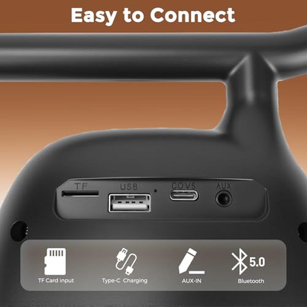 Karaoke Machine: Portable Bluetooth Speaker with 2 Wireless – Close-up Detail
