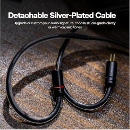 Linsoul TANGZU Wan'er S.G II in Ear Monitor – Packaging