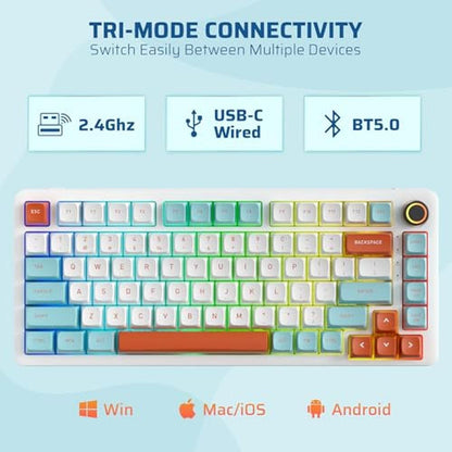 LTC Keyboard: Nimbleback NB832 Wireless 75% Gasket – Close-up Detail