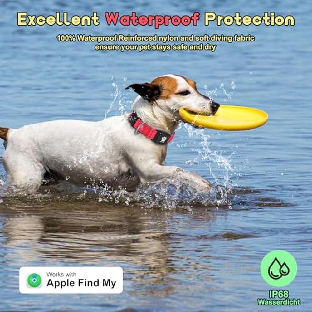 Best GPS Dog Collar Tracker with No Monthly Fees – Side View