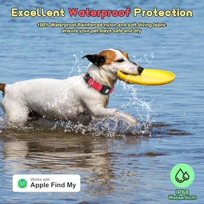 Best GPS Dog Collar Tracker with No Monthly Fees – Side View