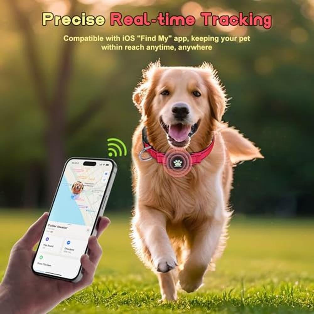 Best GPS Dog Collar Tracker with No Monthly Fees – Close-up Detail