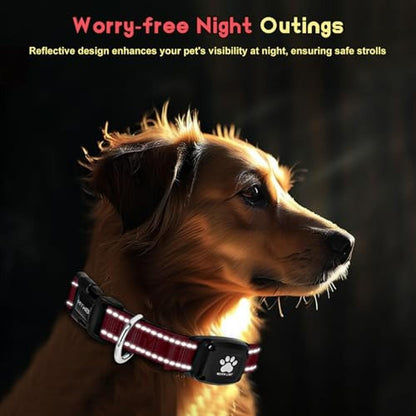 Best GPS Dog Collar Tracker with No Monthly Fees – In Use