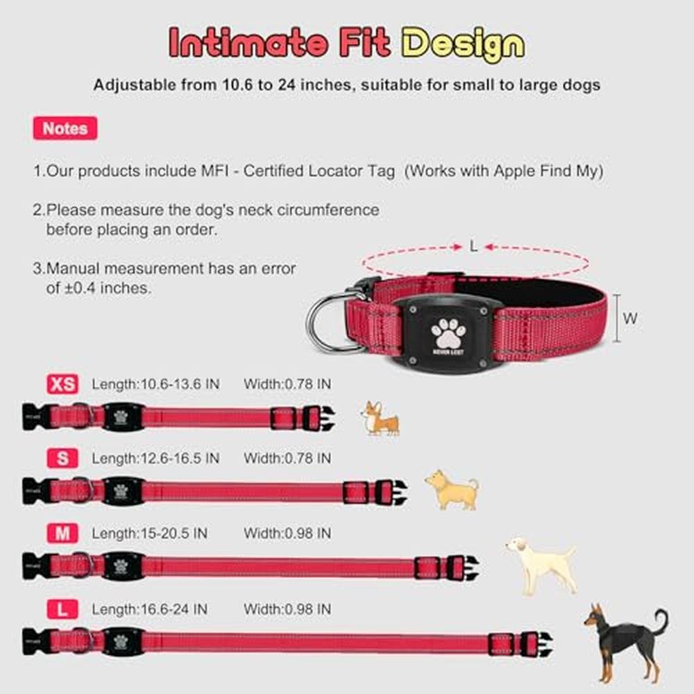 Best GPS Dog Collar Tracker with No Monthly Fees – Packaging