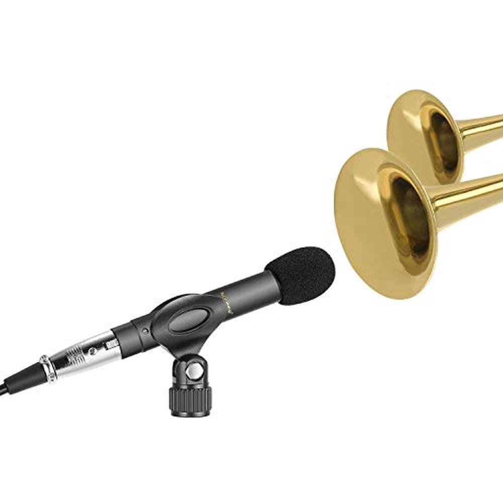 Mic Cardioid: Neewer 2-Pack Pencil Stick Condenser Mic with – In Use