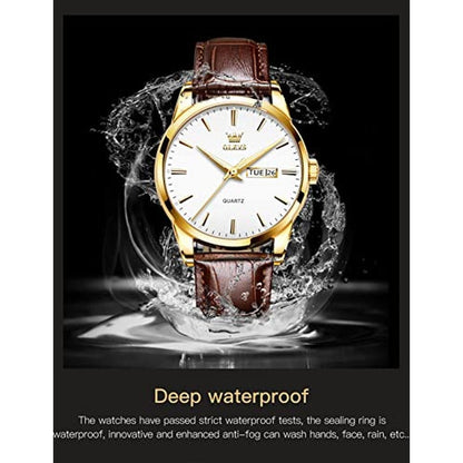 Watches Watch: OLEVS Brown Leather Mens Watches Classic – Packaging