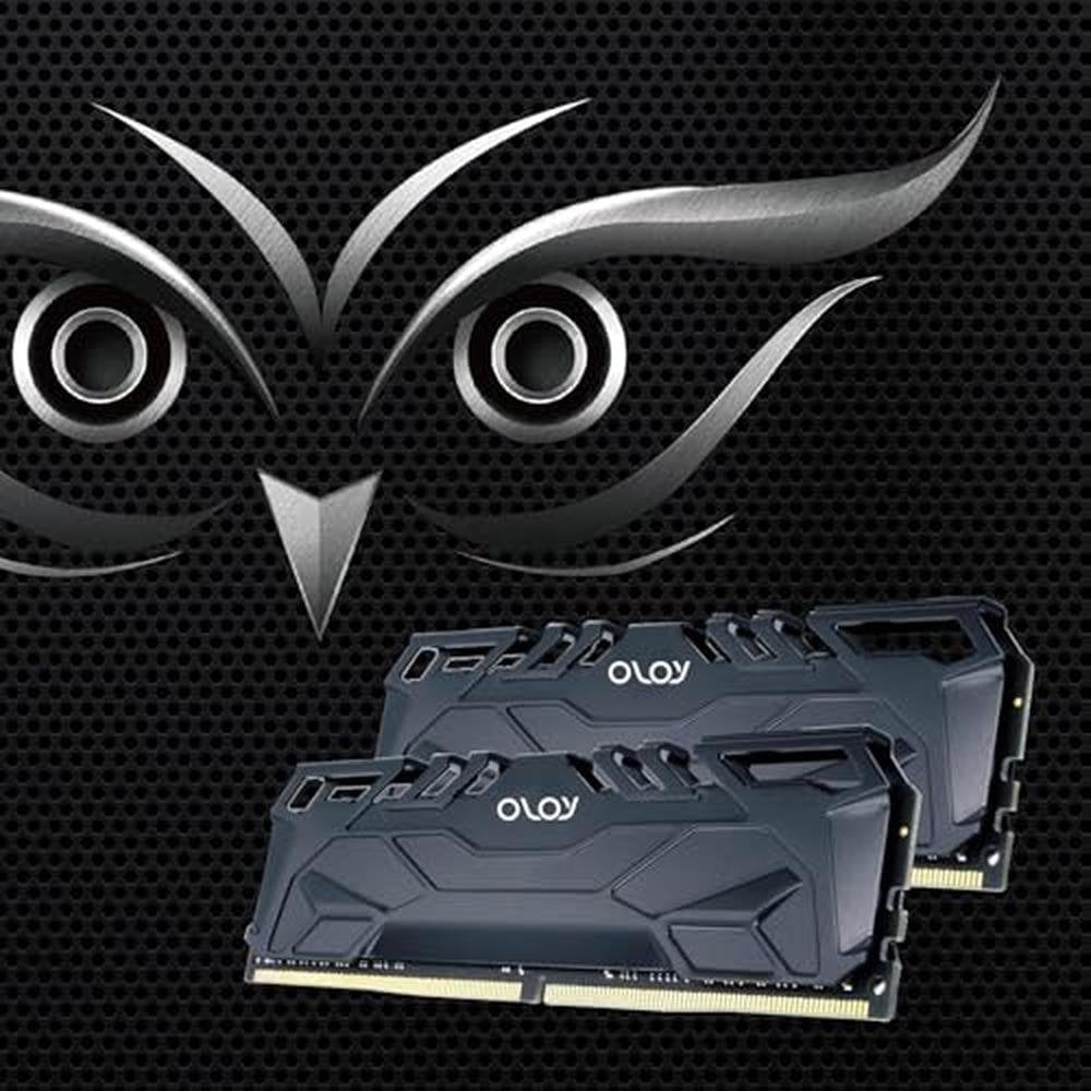 OLOy DDR4 RAM 16GB (2x8GB) Black Owl 3200 MHz CL16 1.35V – In Use