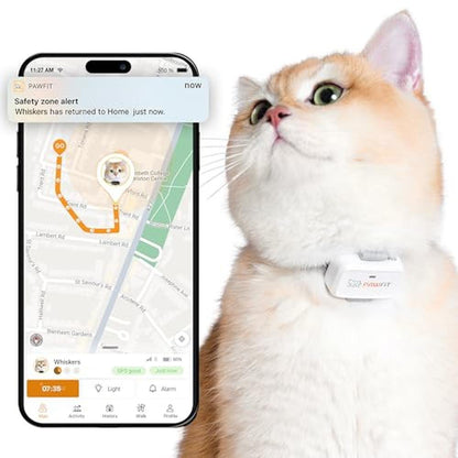 Pawfit Lite: Pawfit Lite GPS Tracker for Cats 4G Ultra – Front View