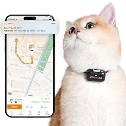 Pawfit Lite: 4G GPS Tracker for Cats – Front View