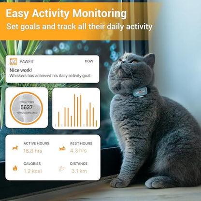Pawfit Lite: 4G GPS Tracker for Cats – In Use